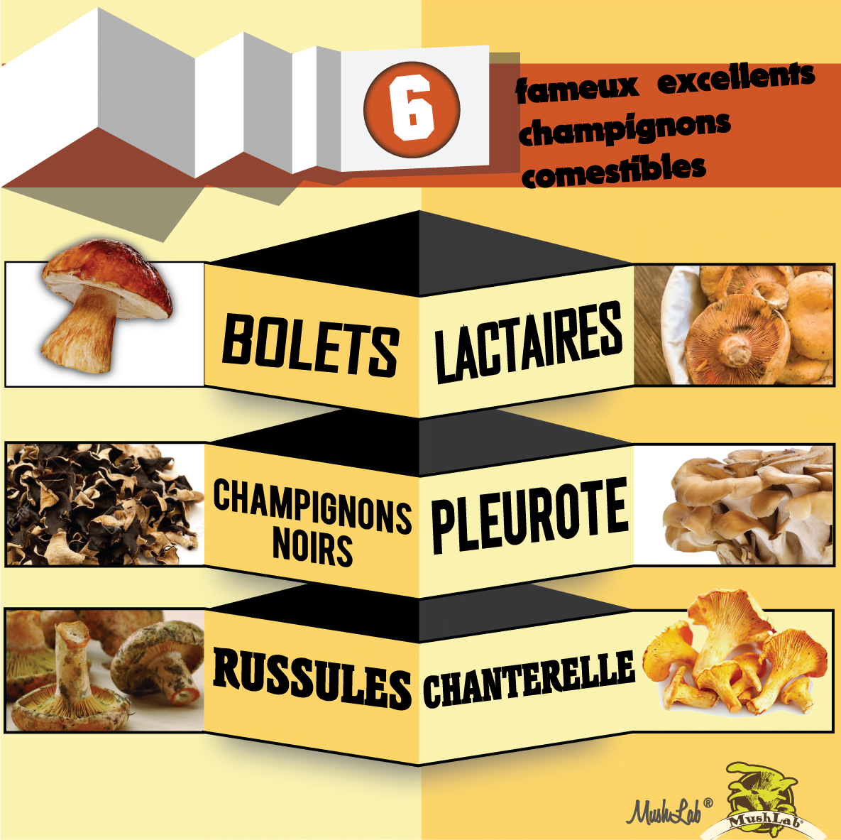 Les-champi-fameux