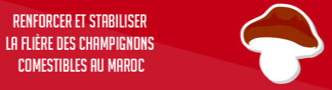 renforcer