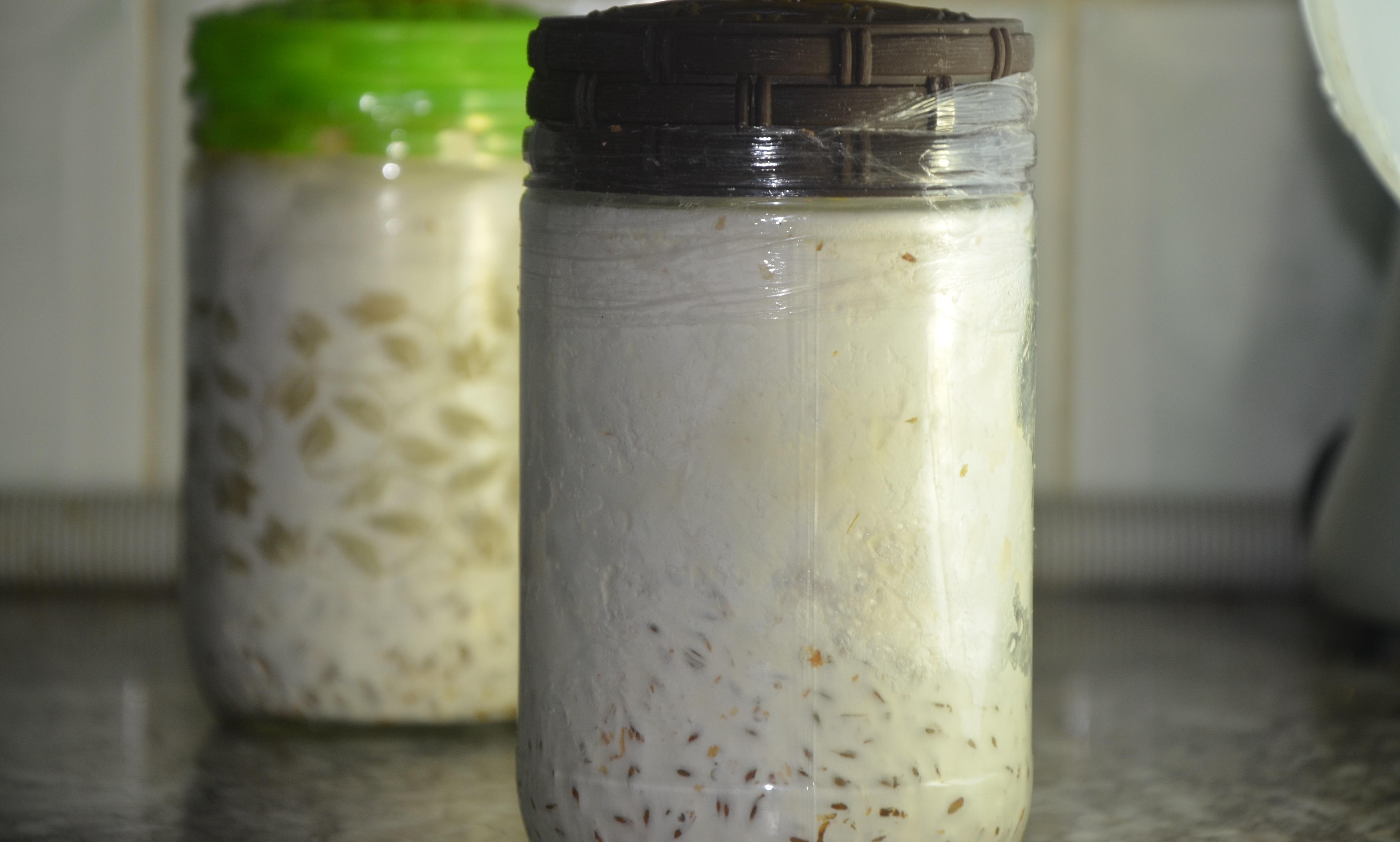 Les champignons, une biomasse pour l'industrie