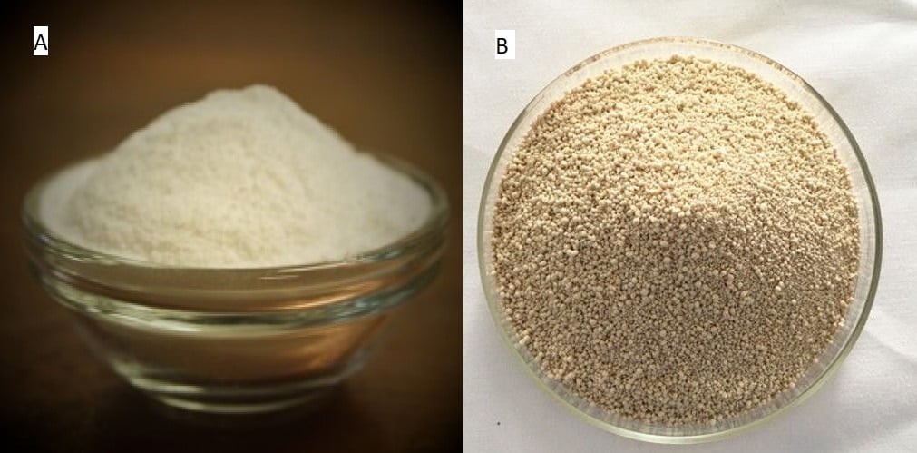 Extraction des enzymes