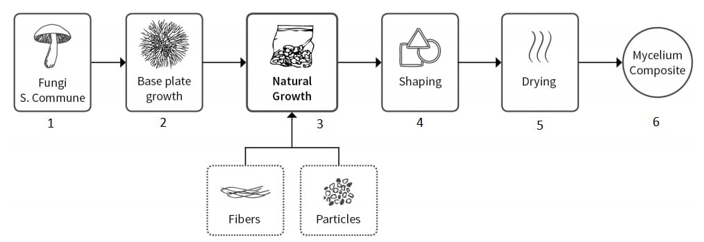 Fabrication des matériaux à base de mycélium les étapes de la procédure 