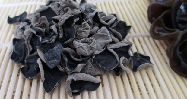 champignons noir